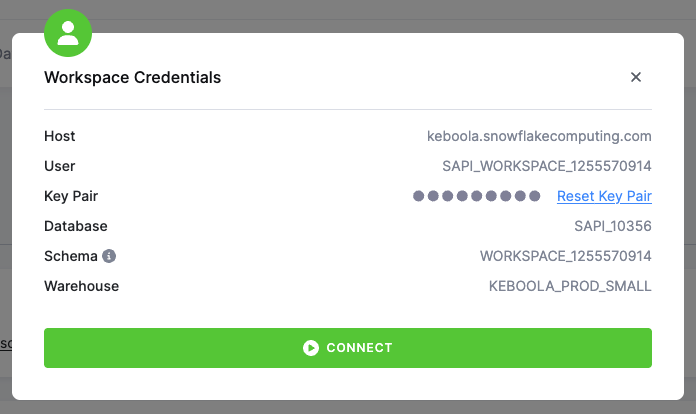 Workspace - Snowflake